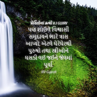 Picture 04 - પ્રેરિતોનાં ક્રત્યો 8:3 GUJIRV - પણ શાઉલે વિશ્વાસી - Bible Verse Picture