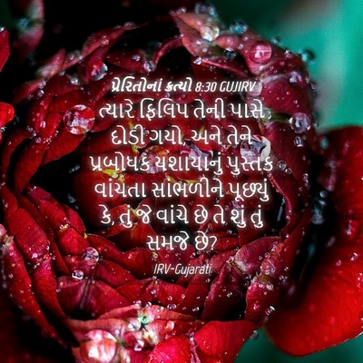 Picture 04 - પ્રેરિતોનાં ક્રત્યો 8:30 GUJIRV - ત્યારે ફિલિપ તેની - Bible Verse Picture