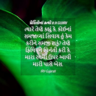 Picture 04 - પ્રેરિતોનાં ક્રત્યો 8:31 GUJIRV - ત્યારે તેણે - Bible Verse Picture