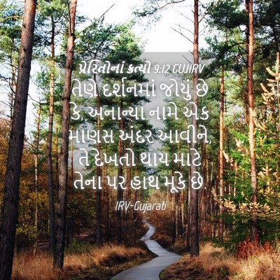 Picture 04 - પ્રેરિતોનાં ક્રત્યો 9:12 GUJIRV - તેણે દર્શનમાં - Bible Verse Picture