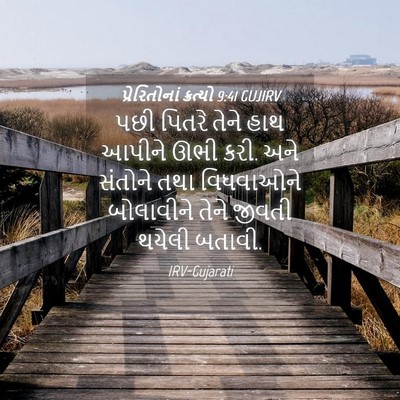 Picture 04 - પ્રેરિતોનાં ક્રત્યો 9:41 GUJIRV - પછી પિતરે તેને હાથ - Bible Verse Picture