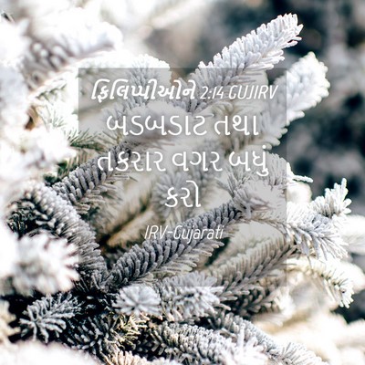 Picture 04 - ફિલિપ્પીઓને 2:14 GUJIRV - બડબડાટ તથા તકરાર - Bible Verse Picture