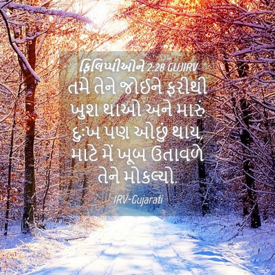 Picture 04 - ફિલિપ્પીઓને 2:28 GUJIRV - તમે તેને જોઈને - Bible Verse Picture