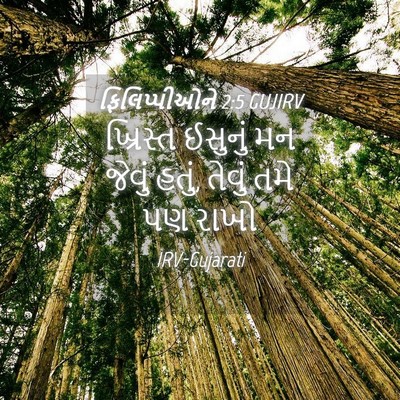 Picture 04 - ફિલિપ્પીઓને 2:5 GUJIRV - ખ્રિસ્ત ઈસુનું મન - Bible Verse Picture