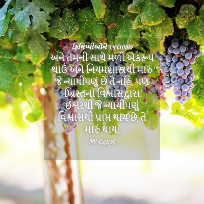 Picture 04 - ફિલિપ્પીઓને 3:9 GUJIRV - અને તેમની સાથે મળી - Bible Verse Picture