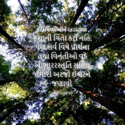 Picture 04 - ફિલિપ્પીઓને 4:6 GUJIRV - કશાની ચિંતા કરો - Bible Verse Picture