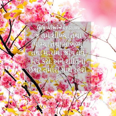 Picture 04 - ફિલિપ્પીઓને 4:9 GUJIRV - જે તમે શીખ્યા તથા - Bible Verse Picture