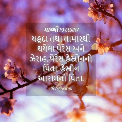 Picture 04 - માથ્થી 1:3 GUJIRV - યહૂદા તથા તામારથી - Bible Verse Picture