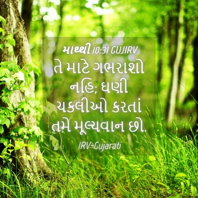 Picture 04 - માથ્થી 10:31 GUJIRV - તે માટે ગભરાશો નહિ; - Bible Verse Picture