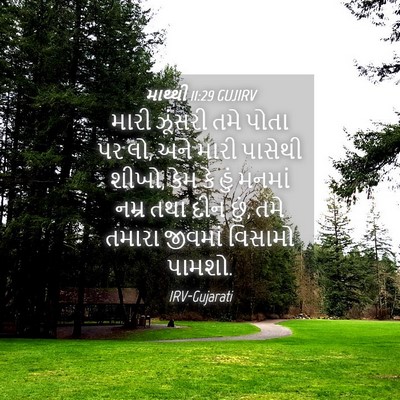 Picture 04 - માથ્થી 11:29 GUJIRV - મારી ઝૂંસરી તમે - Bible Verse Picture