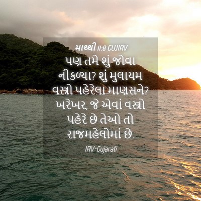Picture 04 - માથ્થી 11:8 GUJIRV - પણ તમે શું જોવા - Bible Verse Picture