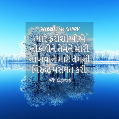Picture 04 - માથ્થી 12:14 GUJIRV - ત્યારે ફરોશીઓએ - Bible Verse Picture