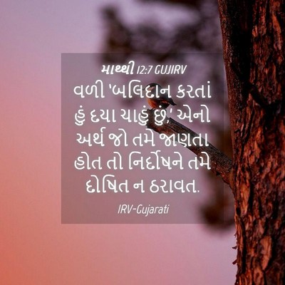 Picture 04 - માથ્થી 12:7 GUJIRV - વળી ‘બલિદાન કરતાં - Bible Verse Picture