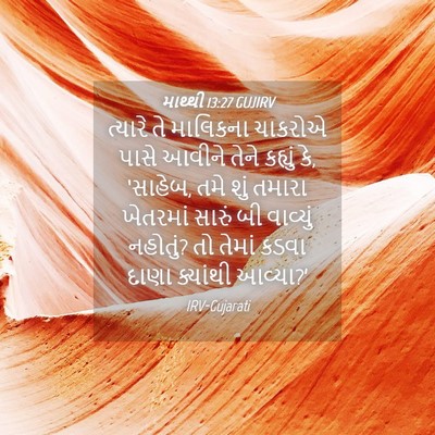 Picture 04 - માથ્થી 13:27 GUJIRV - ત્યારે તે માલિકના - Bible Verse Picture
