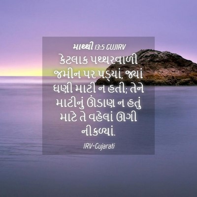 Picture 04 - માથ્થી 13:5 GUJIRV - કેટલાક પથ્થરવાળી - Bible Verse Picture