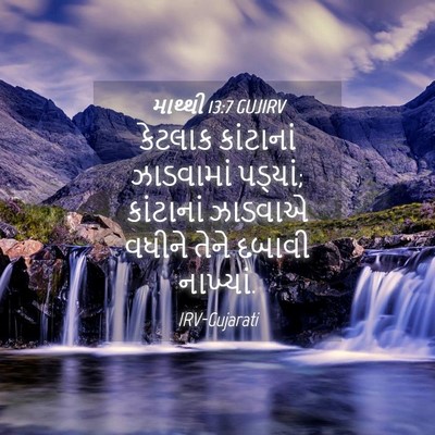 Picture 04 - માથ્થી 13:7 GUJIRV - કેટલાક કાંટાનાં - Bible Verse Picture