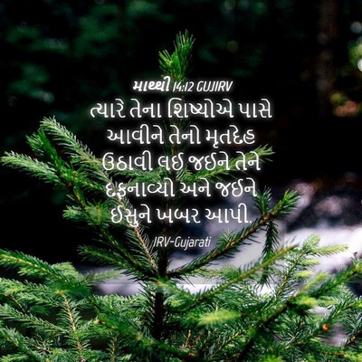 Picture 04 - માથ્થી 14:12 GUJIRV - ત્યારે તેના - Bible Verse Picture