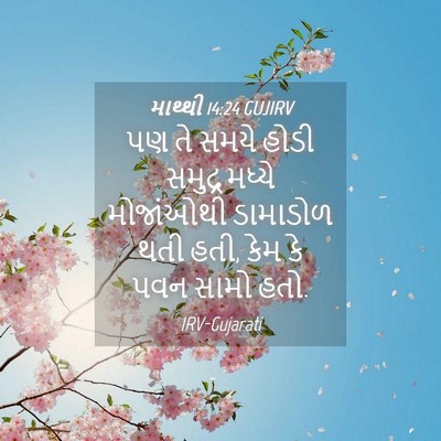 Picture 04 - માથ્થી 14:24 GUJIRV - પણ તે સમયે હોડી - Bible Verse Picture