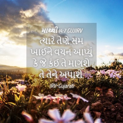Picture 04 - માથ્થી 14:7 GUJIRV - ત્યારે તેણે સમ - Bible Verse Picture