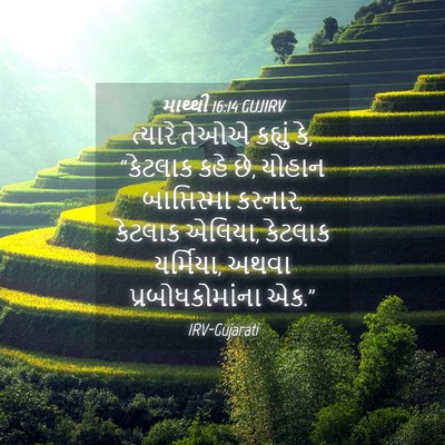 Picture 04 - માથ્થી 16:14 GUJIRV - ત્યારે તેઓએ - Bible Verse Picture