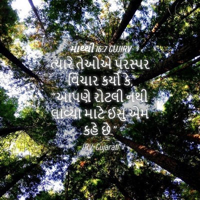Picture 04 - માથ્થી 16:7 GUJIRV - ત્યારે તેઓએ - Bible Verse Picture