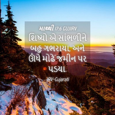 Picture 04 - માથ્થી 17:6 GUJIRV - શિષ્યો એ સાંભળીને - Bible Verse Picture