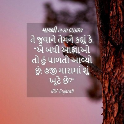 Picture 04 - માથ્થી 19:20 GUJIRV - તે જુવાને તેમને - Bible Verse Picture