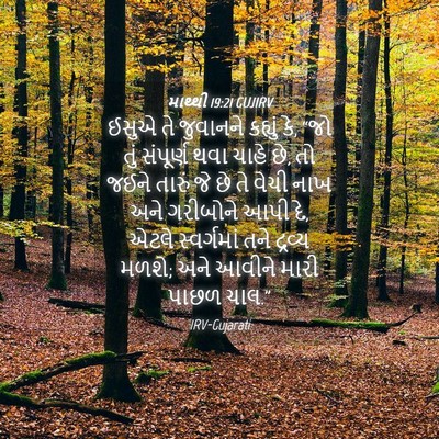 Picture 04 - માથ્થી 19:21 GUJIRV - ઈસુએ તે જુવાનને - Bible Verse Picture