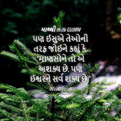 Picture 04 - માથ્થી 19:26 GUJIRV - પણ ઈસુએ તેઓની તરફ - Bible Verse Picture