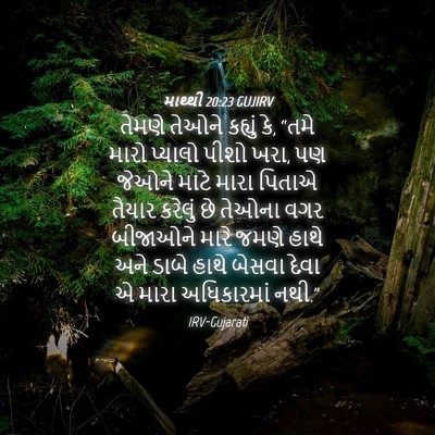 Picture 04 - માથ્થી 20:23 GUJIRV - તેમણે તેઓને - Bible Verse Picture