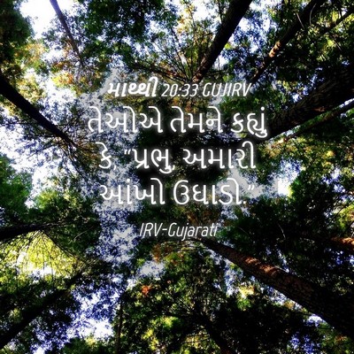 Picture 04 - માથ્થી 20:33 GUJIRV - તેઓએ તેમને કહ્યું - Bible Verse Picture