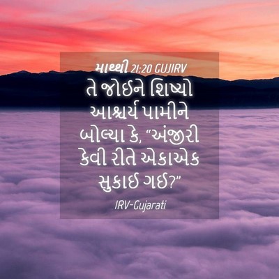 Picture 04 - માથ્થી 21:20 GUJIRV - તે જોઈને શિષ્યો - Bible Verse Picture