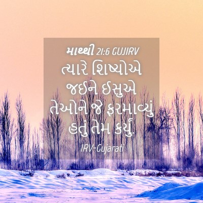 Picture 04 - માથ્થી 21:6 GUJIRV - ત્યારે શિષ્યોએ - Bible Verse Picture