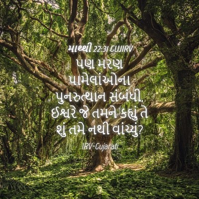 Picture 04 - માથ્થી 22:31 GUJIRV - પણ મરણ પામેલાંઓના - Bible Verse Picture