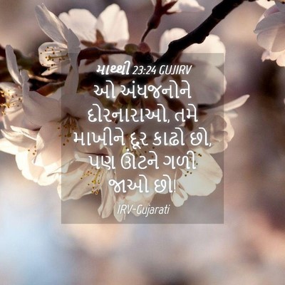 Picture 04 - માથ્થી 23:24 GUJIRV - ઓ અંધજનોને - Bible Verse Picture
