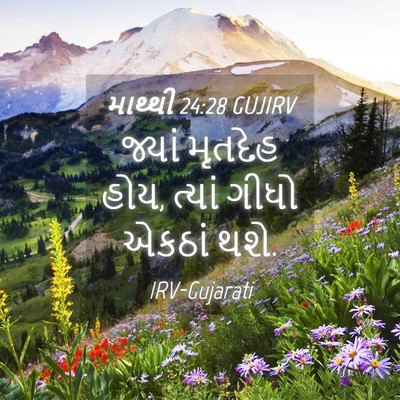 Picture 04 - માથ્થી 24:28 GUJIRV - જ્યાં મૃતદેહ હોય, - Bible Verse Picture