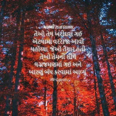 Picture 04 - માથ્થી 25:10 GUJIRV - તેઓ તેલ ખરીદવા ગઈ - Bible Verse Picture