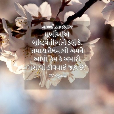 Picture 04 - માથ્થી 25:8 GUJIRV - મૂર્ખીઓએ - Bible Verse Picture