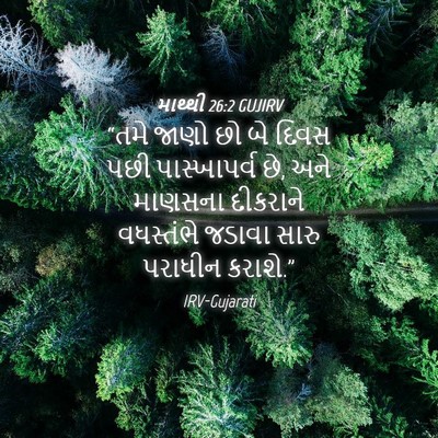 Picture 04 - માથ્થી 26:2 GUJIRV - “તમે જાણો છો બે - Bible Verse Picture