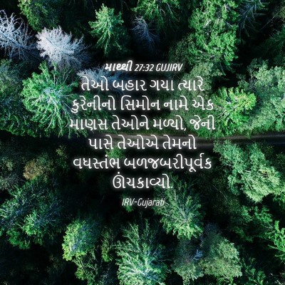 Picture 04 - માથ્થી 27:32 GUJIRV - તેઓ બહાર ગયા - Bible Verse Picture