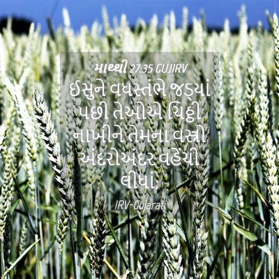 Picture 04 - માથ્થી 27:35 GUJIRV - ઈસુને વધસ્તંભે - Bible Verse Picture