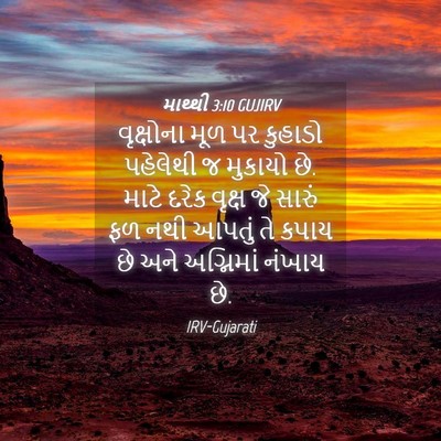 Picture 04 - માથ્થી 3:10 GUJIRV - વૃક્ષોના મૂળ પર - Bible Verse Picture