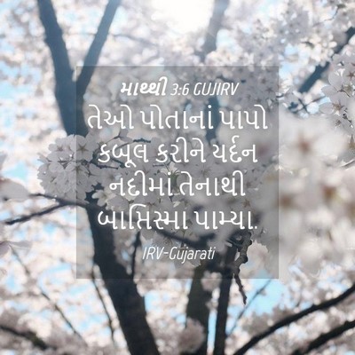 Picture 04 - માથ્થી 3:6 GUJIRV - તેઓ પોતાનાં પાપો - Bible Verse Picture