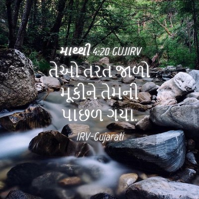 Picture 04 - માથ્થી 4:20 GUJIRV - તેઓ તરત જાળો - Bible Verse Picture