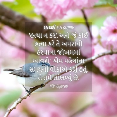 Picture 04 - માથ્થી 5:21 GUJIRV - ‘હત્યા ન કર’, અને - Bible Verse Picture