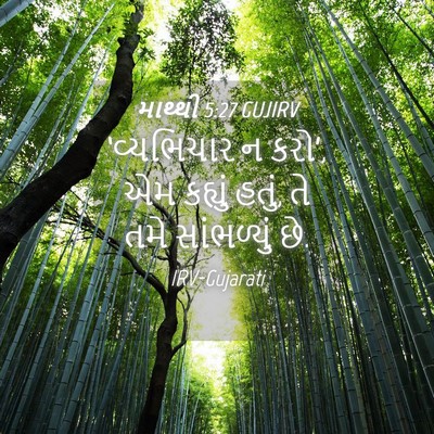 Picture 04 - માથ્થી 5:27 GUJIRV - ‘વ્યભિચાર ન કરો’, - Bible Verse Picture