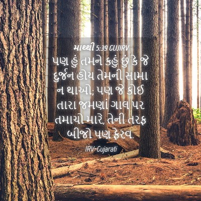 Picture 04 - માથ્થી 5:39 GUJIRV - પણ હું તમને કહું - Bible Verse Picture