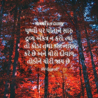 Picture 04 - માથ્થી 6:19 GUJIRV - પૃથ્વી પર પોતાને - Bible Verse Picture