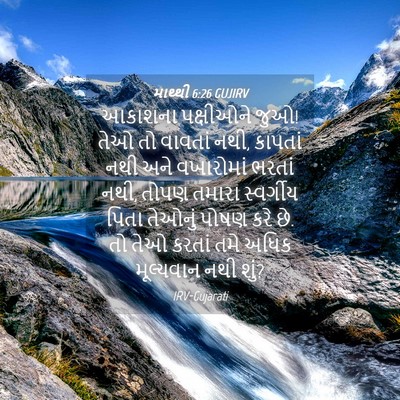 Picture 04 - માથ્થી 6:26 GUJIRV - આકાશના પક્ષીઓને - Bible Verse Picture