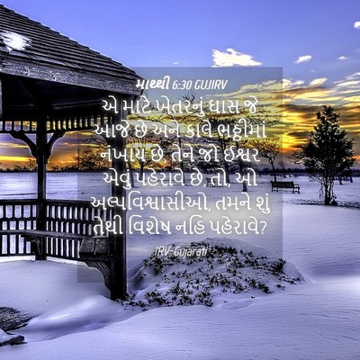 Picture 04 - માથ્થી 6:30 GUJIRV - એ માટે ખેતરનું ઘાસ - Bible Verse Picture